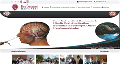 Desktop Screenshot of ftm.firat.edu.tr